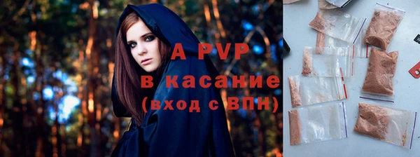гашиш Богданович