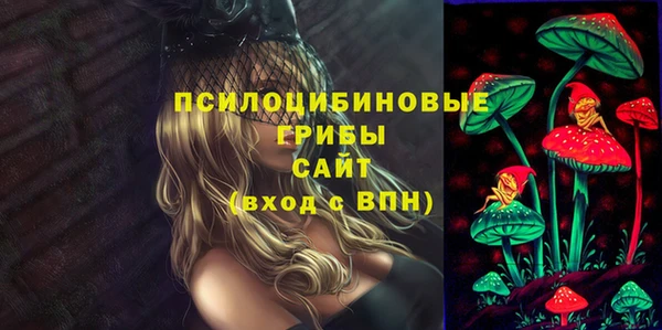 марки lsd Белокуриха