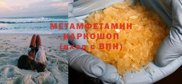 прущие грибы Богородицк