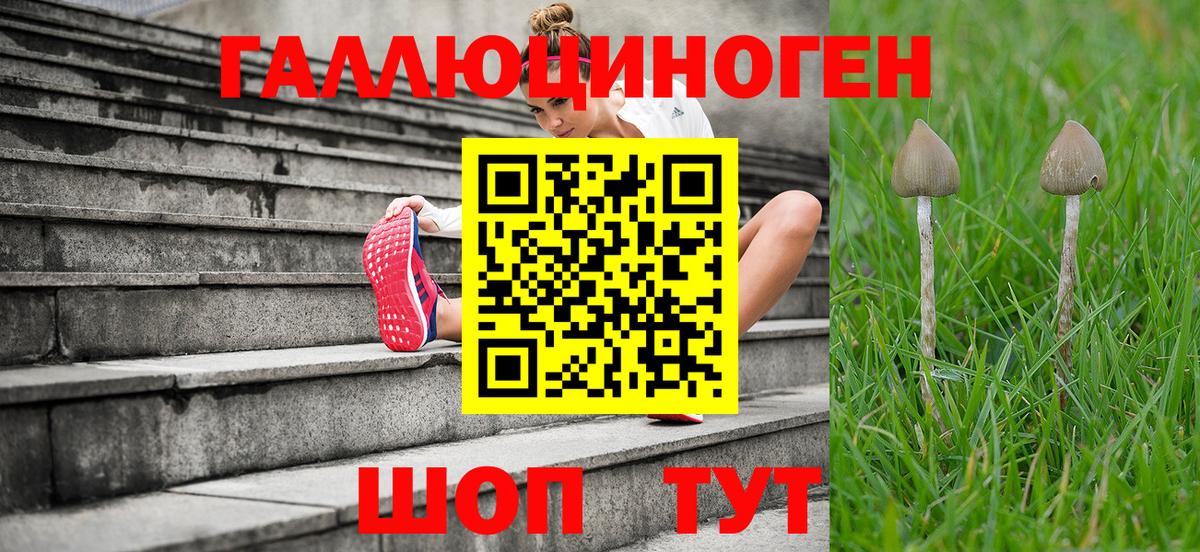 Псилоцибиновые грибы GOLDEN TEACHER Городец
